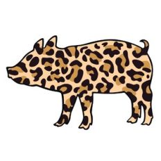 leopard pig
