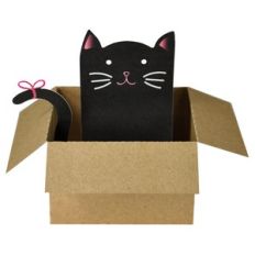 black kitty in a box – print and cut