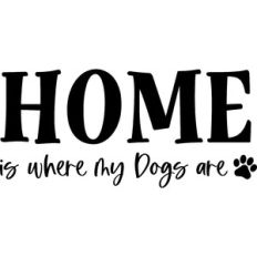 home is where my dogs are