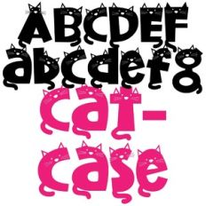 pn catcase