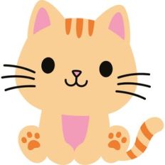 baby cat