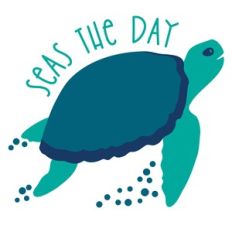 sea turtle