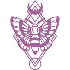 moth geo