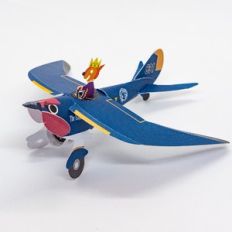 airplane_swallow
