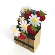 strawberry basket box card