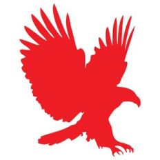 american eagle patriot