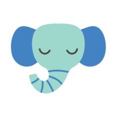 elephant face