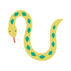 snake