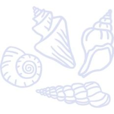 shells