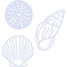 shells