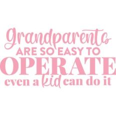 grandparents are so easy to operate