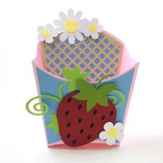 strawberry large fry box