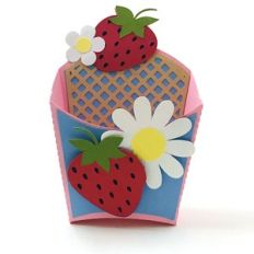 strawberry fry box small