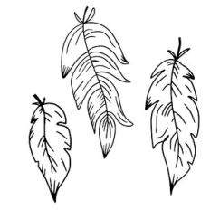 feathers