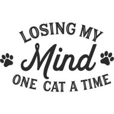 losing my mind one cat at a time