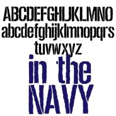 zp in the navy