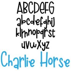 zp charlie horse