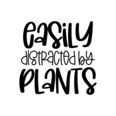 easily distracted by plants