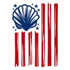 american beach flag