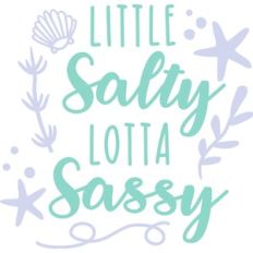 little salty lotta sassy