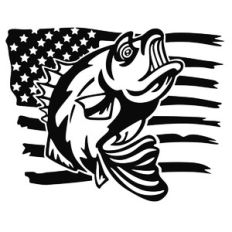 american bass