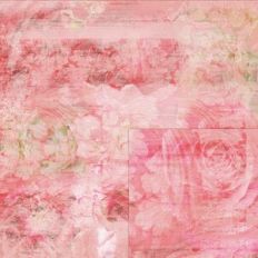 shabby pink roses only background pattern