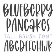 dtc blueberry pancakes