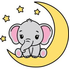 baby elephant