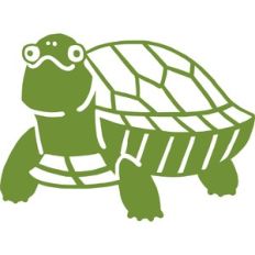 one color turtle