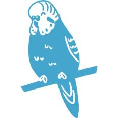 one color parakeet
