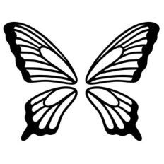 butterfly wings
