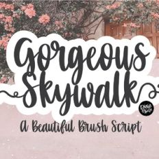 dtc gorgeous skywalk flourish font