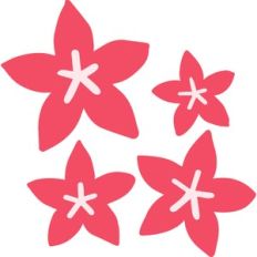 cute tropical flowers