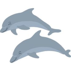 dolphins