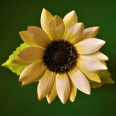 sunflower vanilla ice