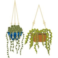 hanging plants