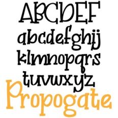 pn propogate