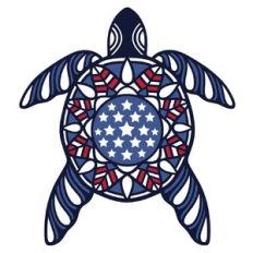 usa turtle