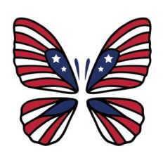 usa butterfly wings