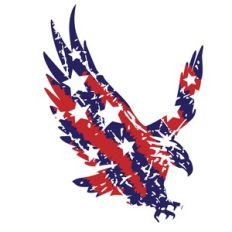 distressed american eagle