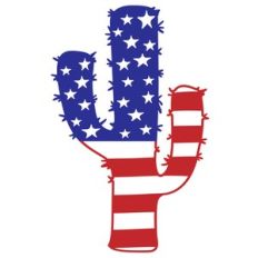 american cactus