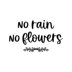 no rain no flowers