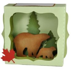 summer bear gift card box