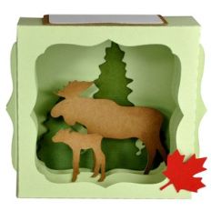 summer moose gift card box