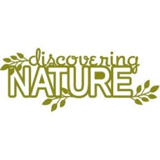 discovering nature