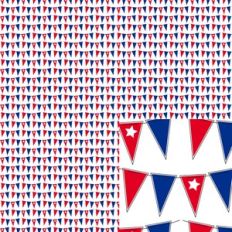 flags independence day