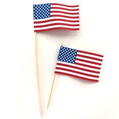miniature american flag