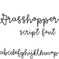 grasshopper script font