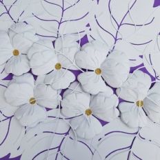large pansy (backdrop)