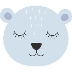 boy bear